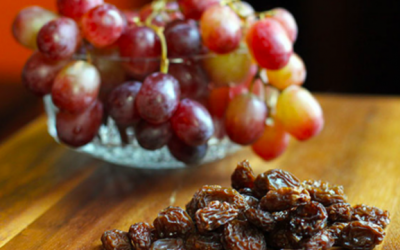 Does Chastity Shrink the Penis?